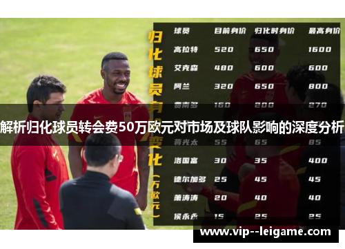 解析归化球员转会费50万欧元对市场及球队影响的深度分析