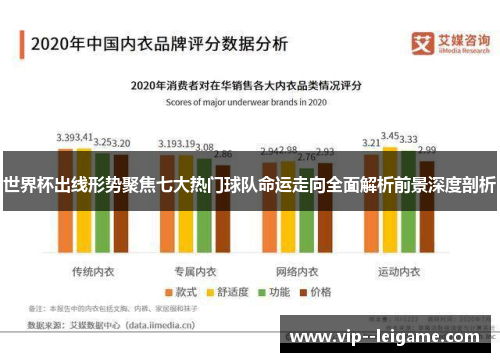 世界杯出线形势聚焦七大热门球队命运走向全面解析前景深度剖析